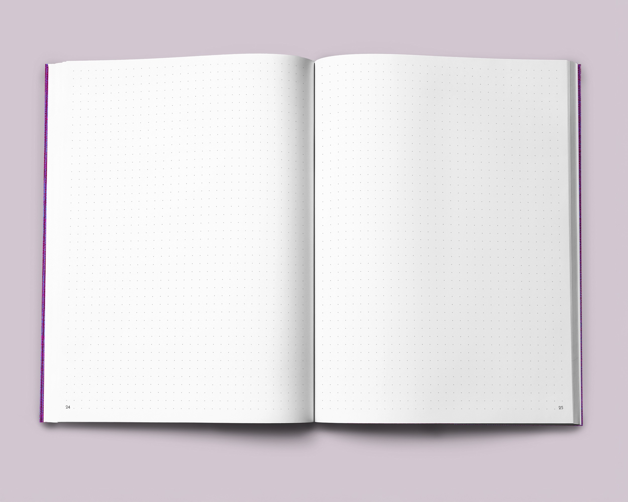 Doppelseitenansicht: Tagebuchseiten